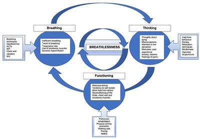 Non-pharmacological Management in Palliative Care for Patients With Advanced COPD